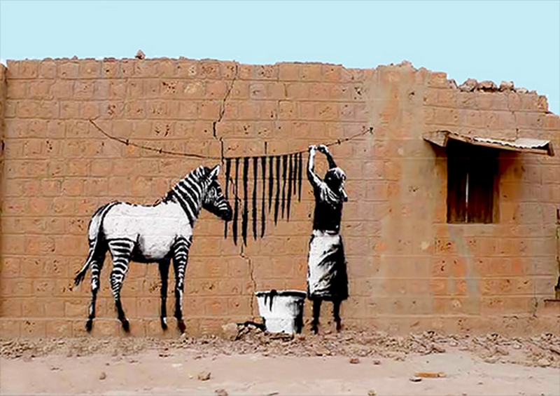 Zebra stripes washing | Metal Poster