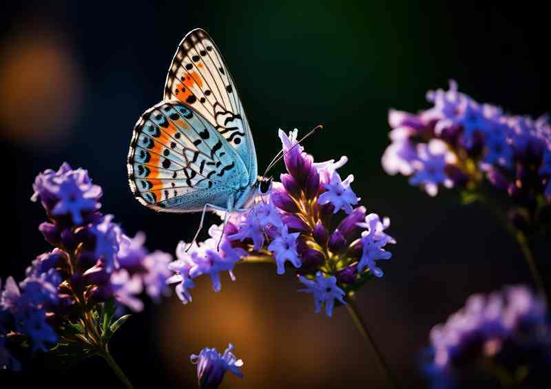 A Symphony of Color Butterflies and Purple Blossoms | Metal Poster