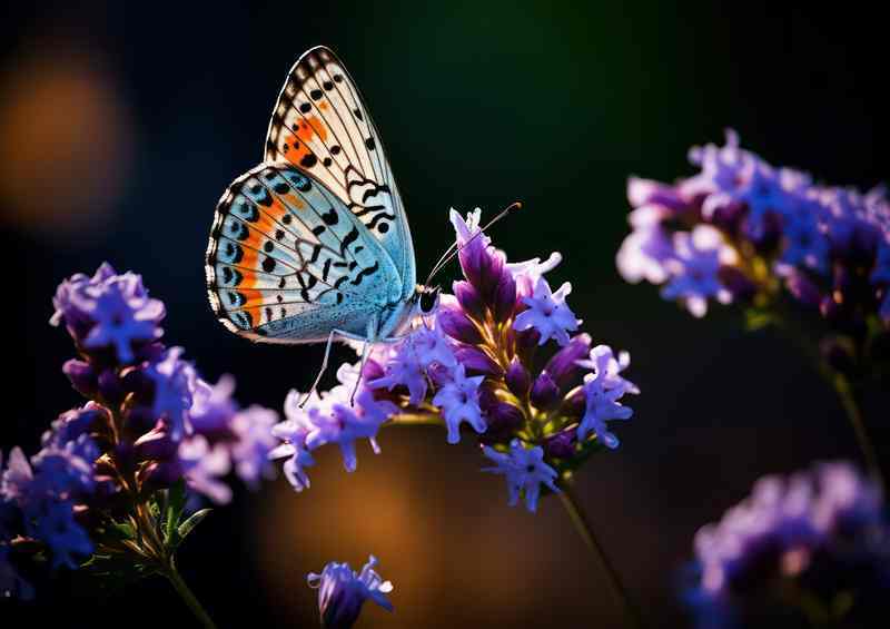 A Symphony of Color Butterflies and Purple Blossoms | Poster