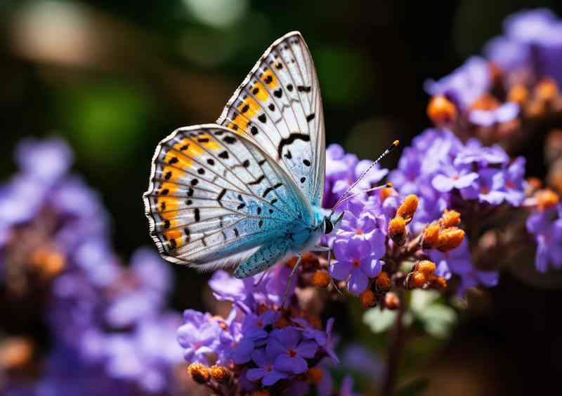 Butterflies on Purple Flowers Natures Beauty Captured | Poster