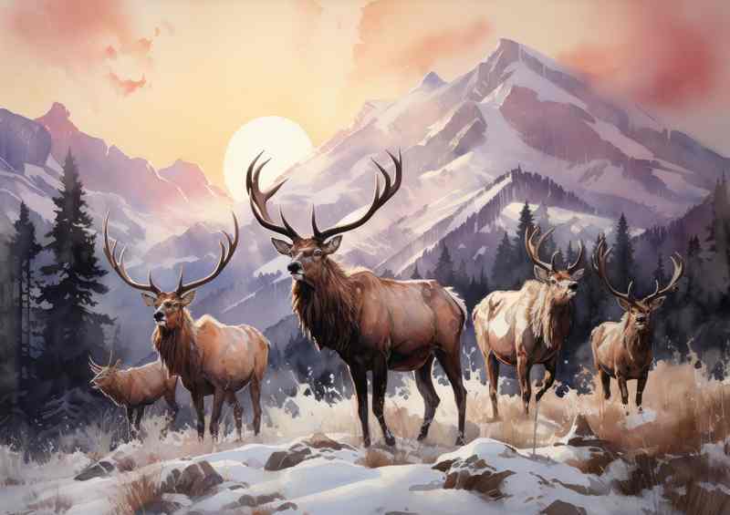 Elks on the mountain range with a rising sun | Poster