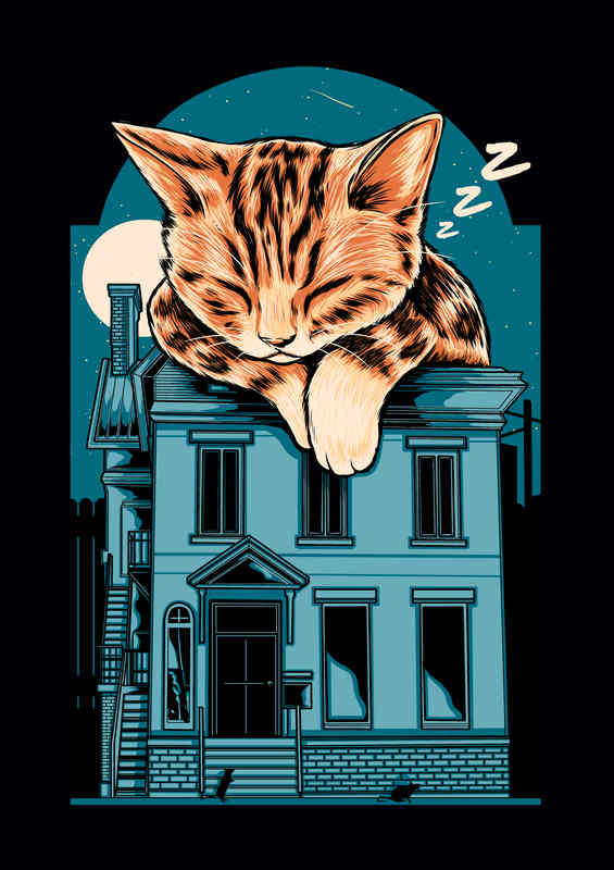 Cat Nap on the roof | Canvas