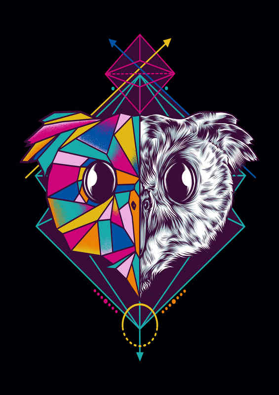 Geometric Owl | Canvas