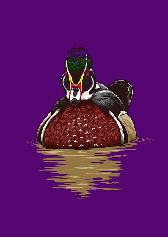 Mandrain Duck Purple | Poster