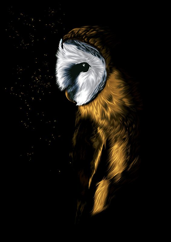 Serenity Owl | Canvas