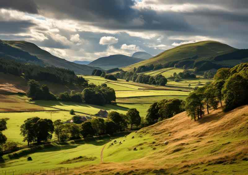 Landscape of rolling hills across the countryside | Metal Poster