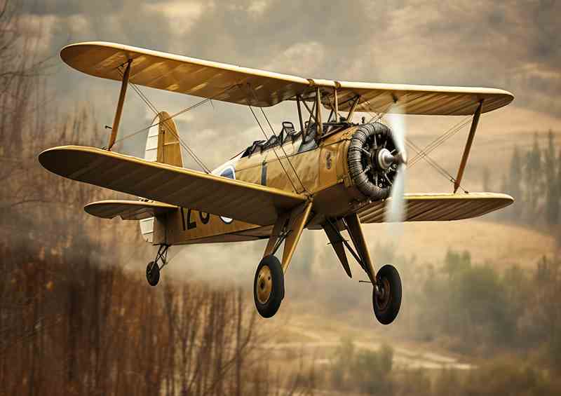 Linc Bi-Plane Fly | Canvas