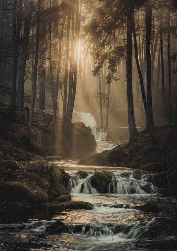 The forest scene with cascading flowing river | Metal Poster