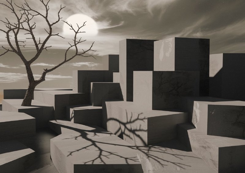 Landscape photo of a barren tree with blocks | Di-Bond
