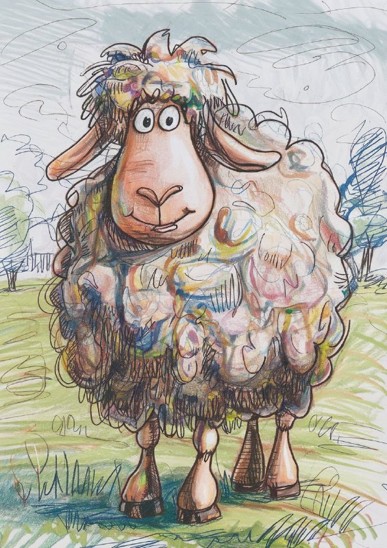 Colour graphite pencil drawing of a happy shaggy sheep | Di-Bond