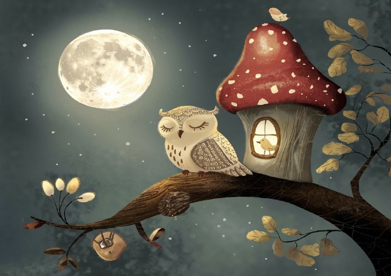 Night time owl sleeping on a branch | Metal Poster