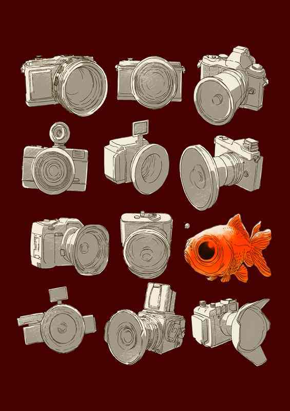 Fisheye Maroon | Canvas