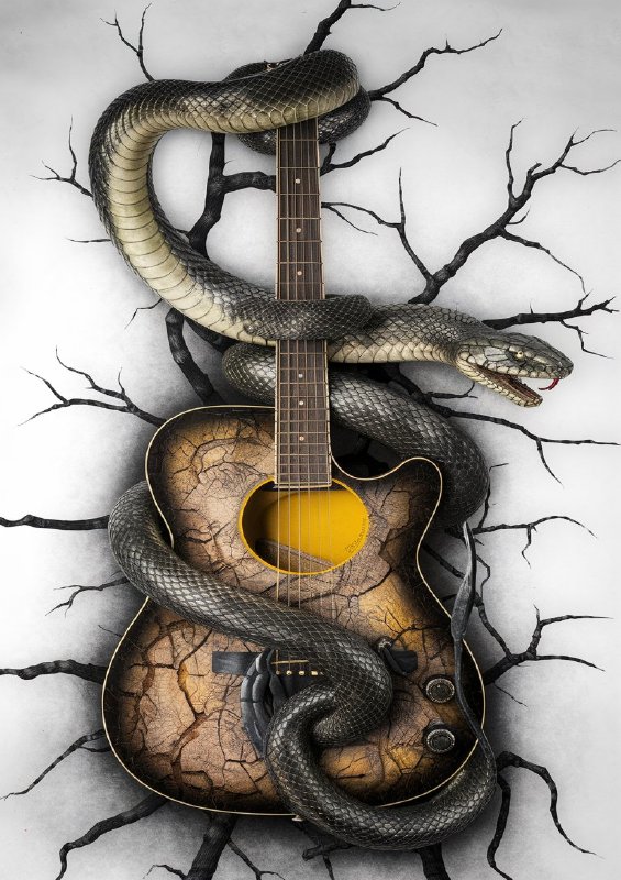 Photo of a guitar with an intricate design and the snake | Poster