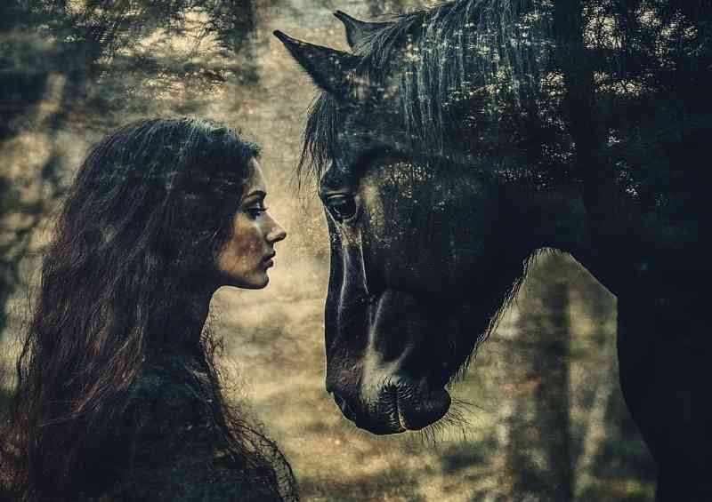 A double exposure of a woman and a horse a beautiful | Di-Bond