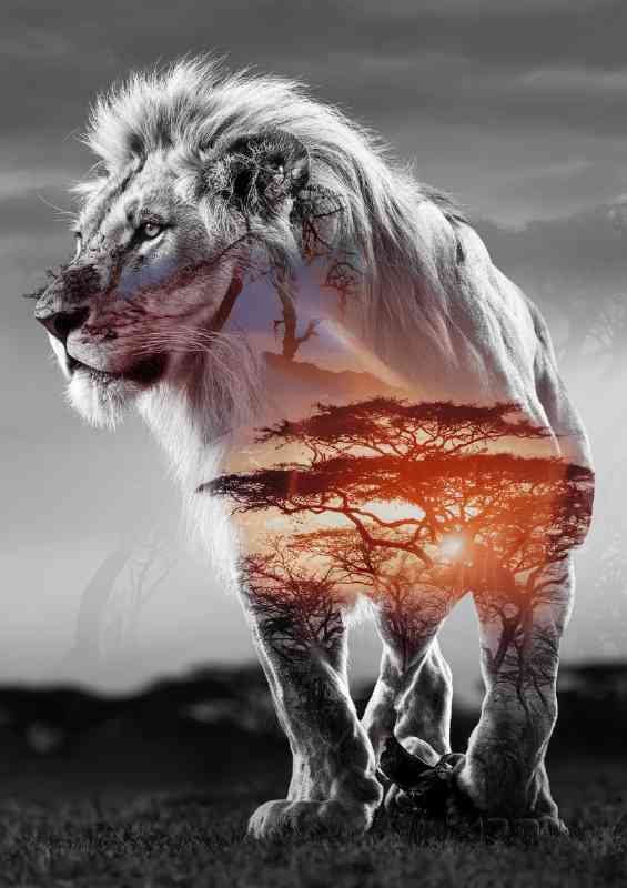 King of the jungle lion double exposure | Di-Bond