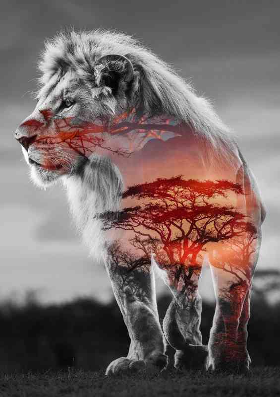 Majestic double exposure of a lion | Metal Poster