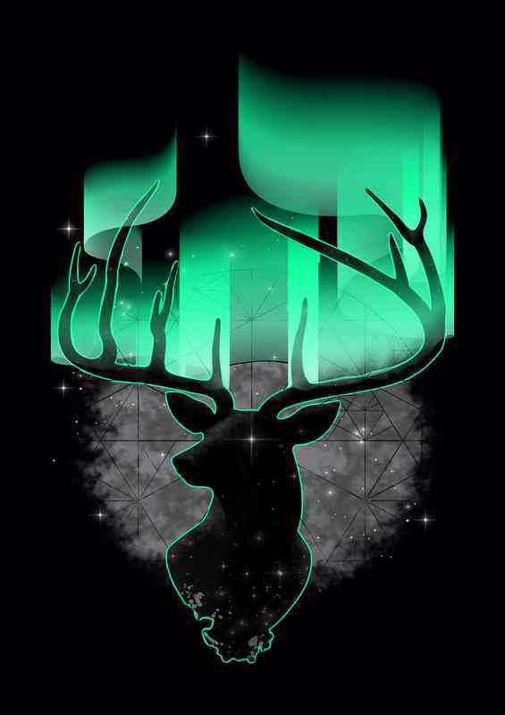 Northern Lights | Poster