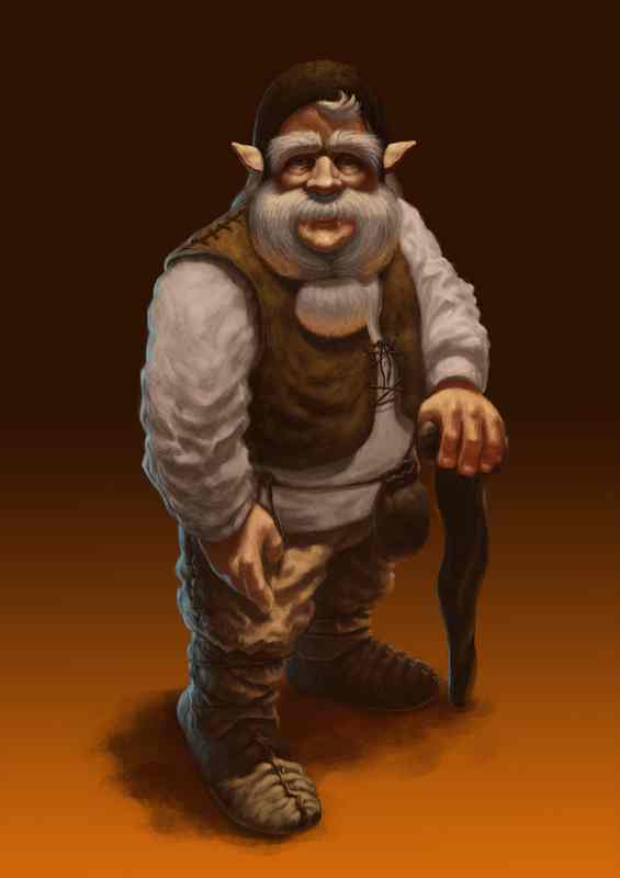 Phesant Dwarf | Canvas