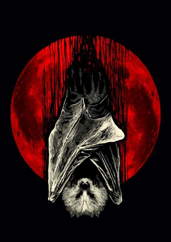 Midnight Watcher | Canvas