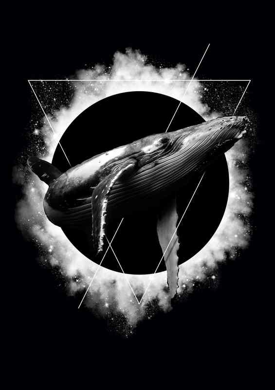 Space Plunge | Di-Bond