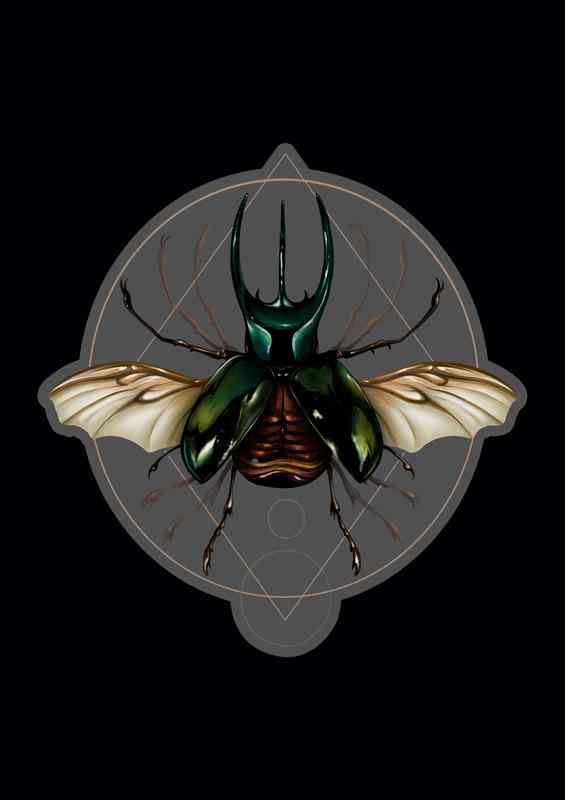 Vitruvian Beetle | Canvas
