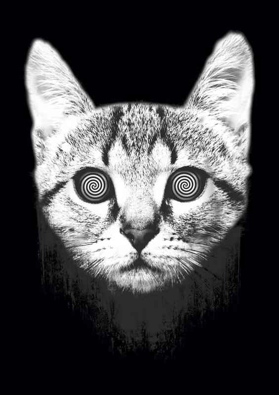 hypnotize | Di-Bond