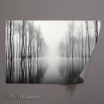 Buy Unframed Poster : (Waters Reflective Embrace Monochromatic Trees)