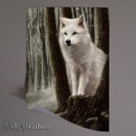 Buy Unframed Poster : (Tiny White Wolf On A Tree)