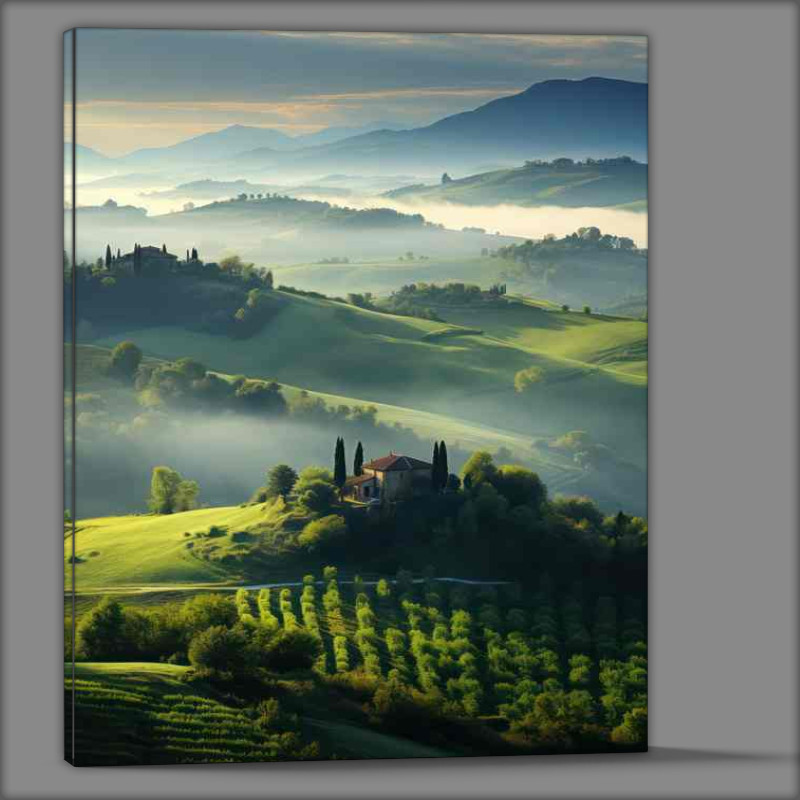 Buy Canvas : (Tuscany trees and Mountain Mist)