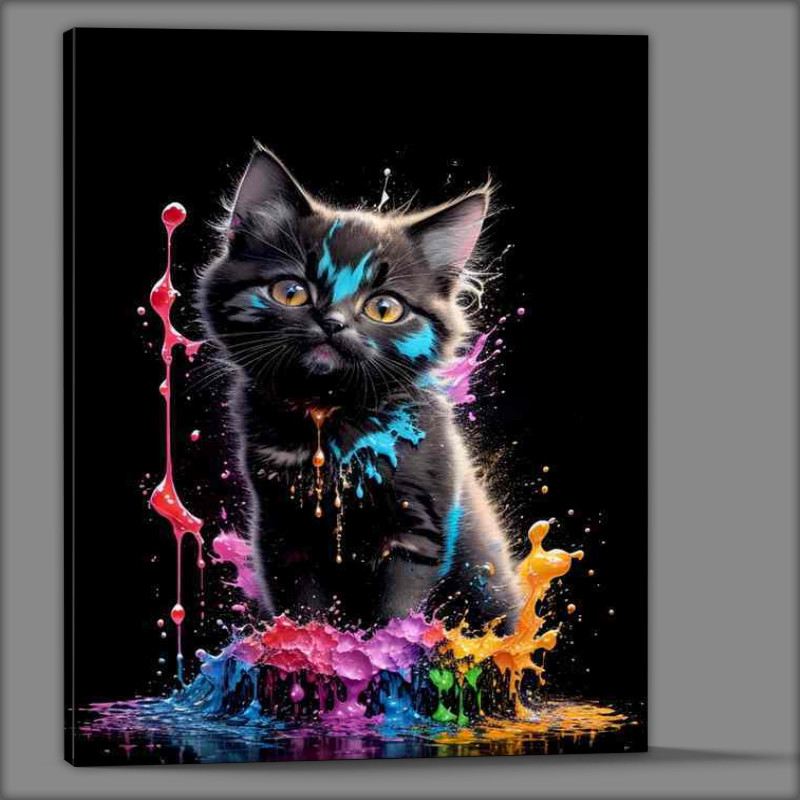 Buy Canvas : (Colorful Cat Charm Artistic Splash Vision)