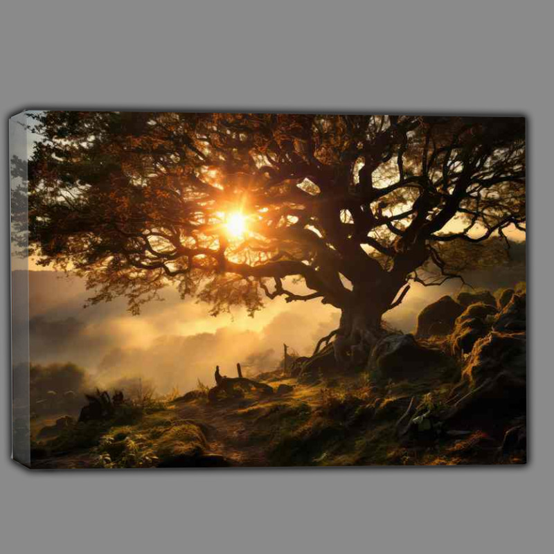 Buy Canvas : (Sunlight A Golden Story)