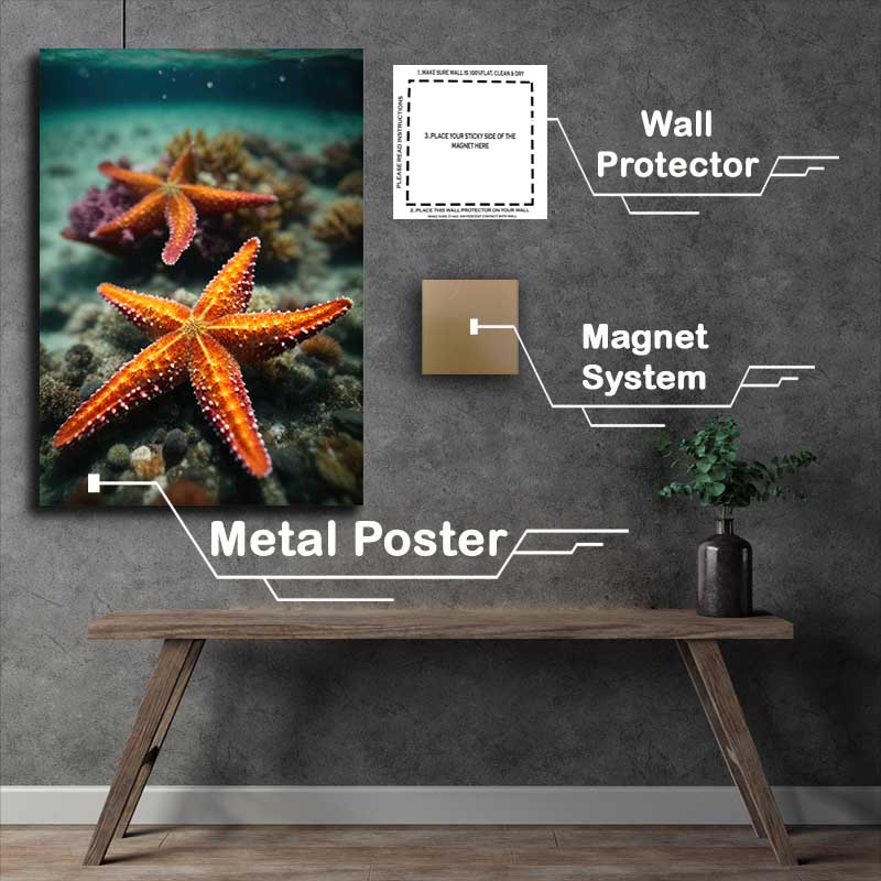 Buy Metal Poster : (StarFish King Of The Show)