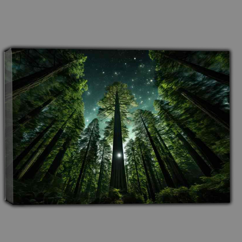 Buy Canvas : (Amongst the Tall Trees)