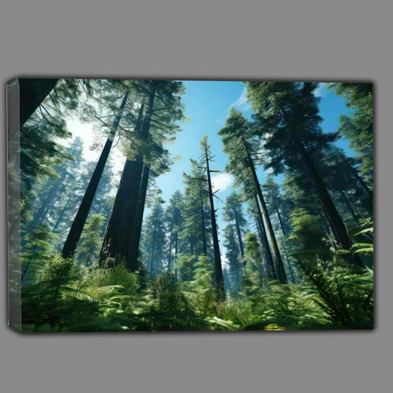 Buy Canvas : (Elevated Elegance Tall Trees)