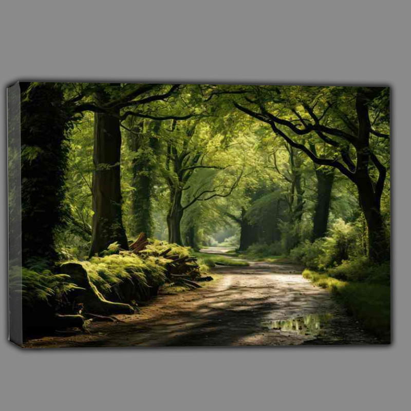 Buy Canvas : (Enchanted Forest Pathway)