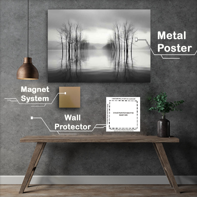 Buy Metal Poster : (Shades of Stillness Reflecting Trees in Black and white)