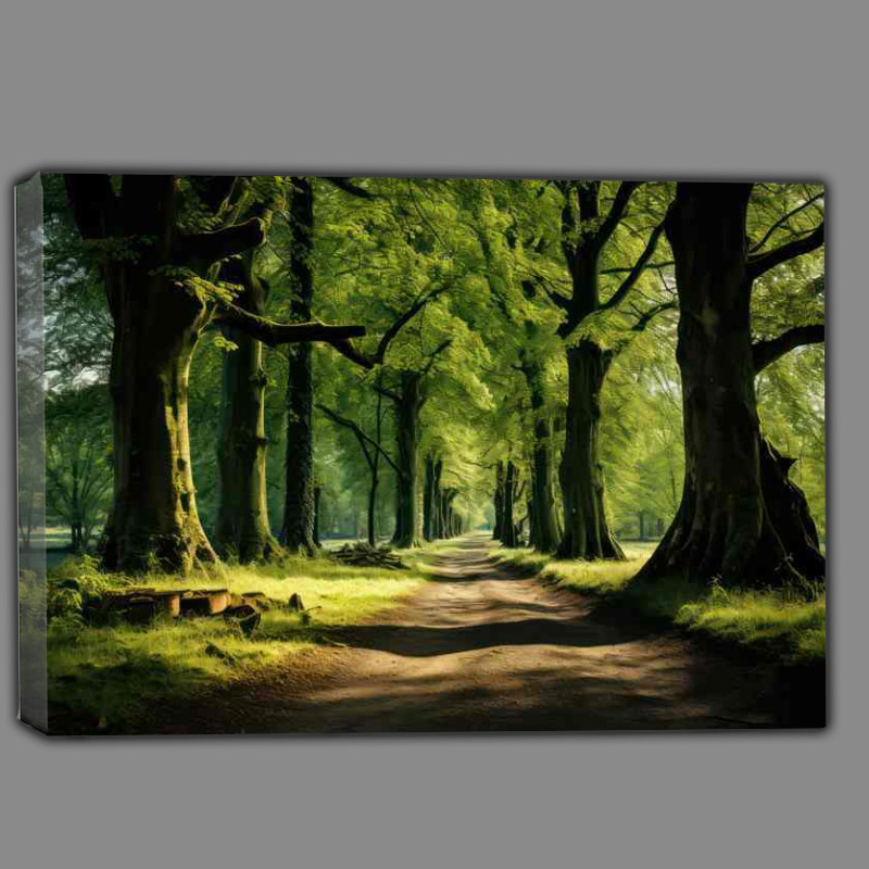 Buy Canvas : (Tranquil Woodland Trail)