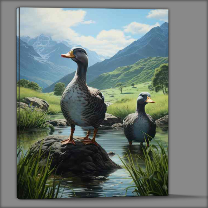 Buy Canvas : (Ducks on the Farm A Rustic Scene with Waterfowl)