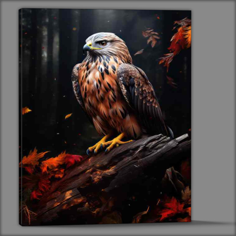 Buy Canvas : (Hawks on a Perch Guardians of the Treetops)