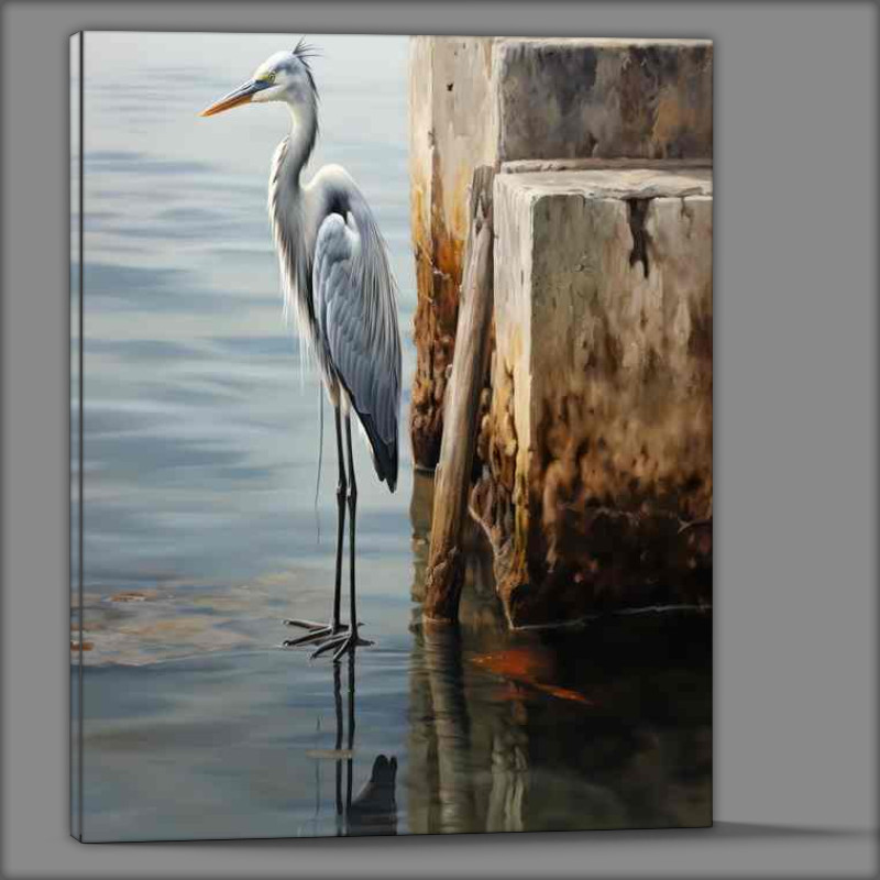 Buy Canvas : (Heron on the pier waiting for its food)