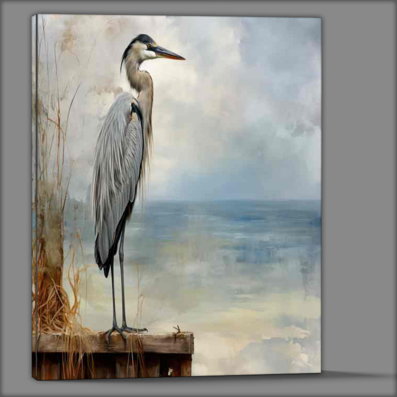 Buy Canvas : (Heron the the pier watching and waiting)