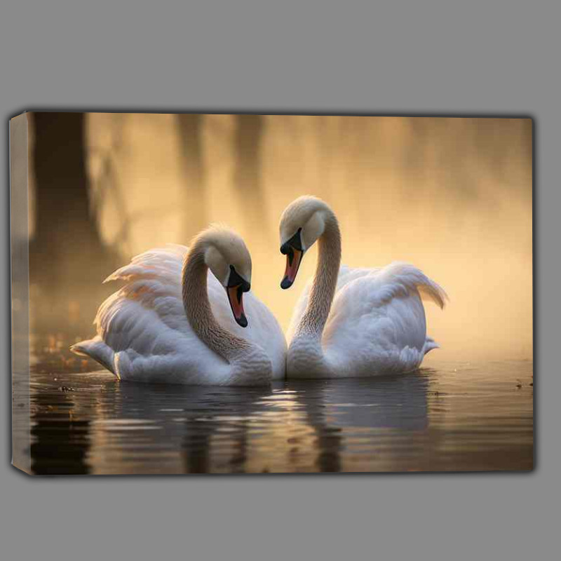 Buy Canvas : (A Pair of Swans swimming on the lake)