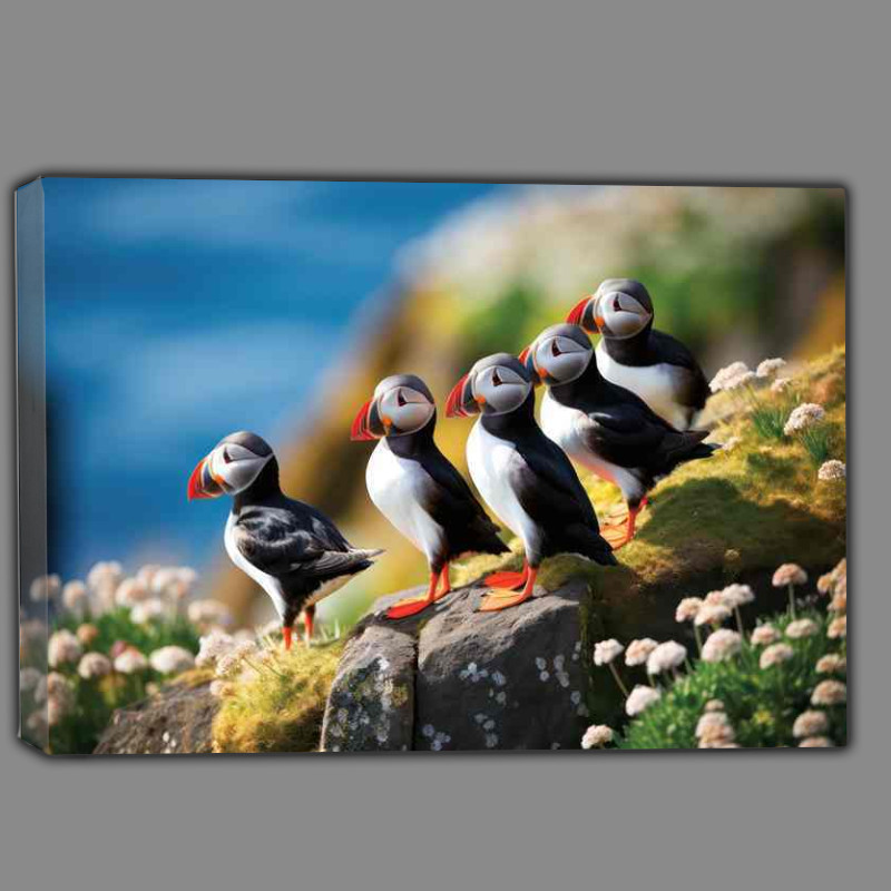 Buy Canvas : (A group of puffins on the cliffs)