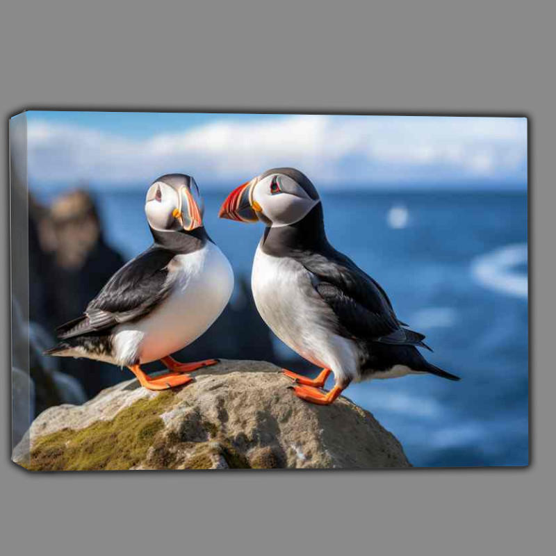 Buy Canvas : (Conserving Puffins and Coastal Ecosystems)