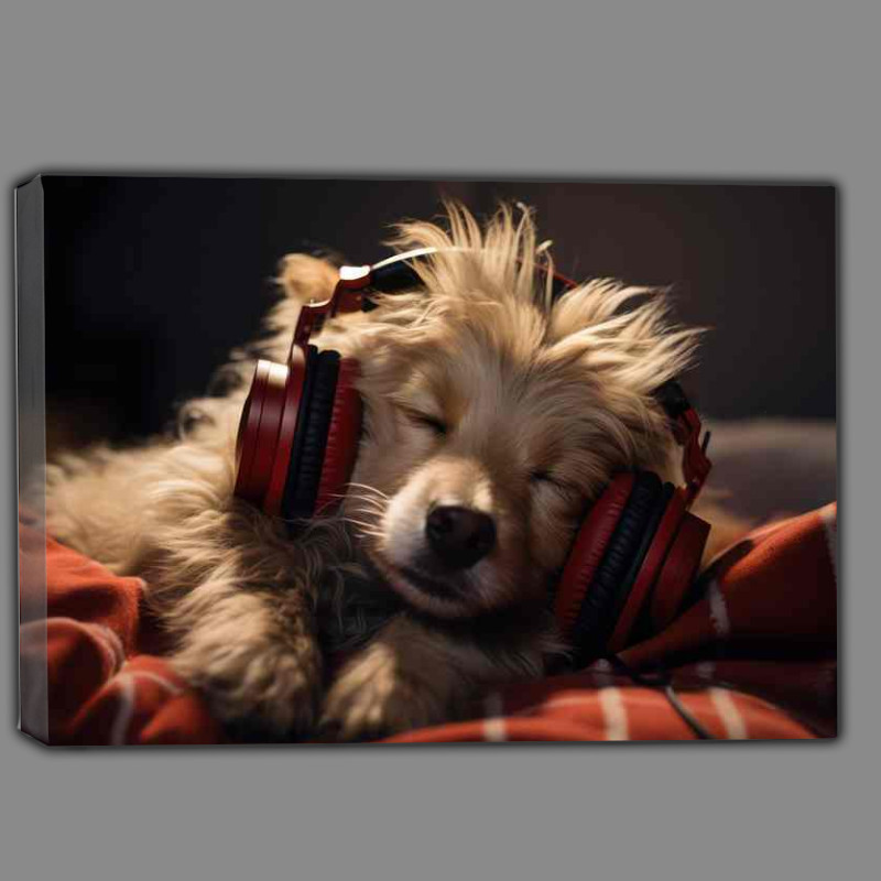 Buy Canvas : (A dog is wearing headphones and sleeping)