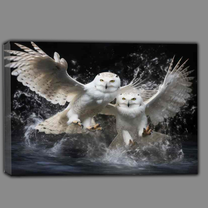 Buy Canvas : (Snowy owls in mid flight over water)