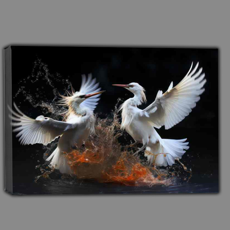 Buy Canvas : (Two egrets birds fighting in the water)