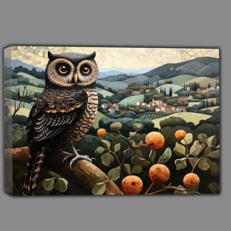 Buy Canvas : (Wide Eyed Owl sat on a perch just watching)