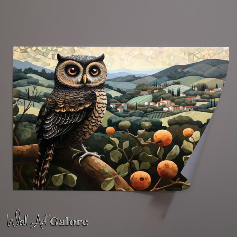 Buy Unframed Poster : (Wide Eyed Owl sat on a perch just watching)