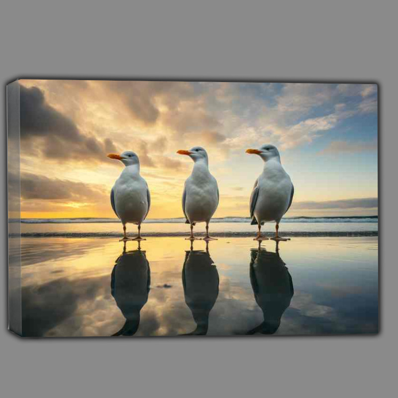 Buy Canvas : (three seaguls standing on a beach with reflection)